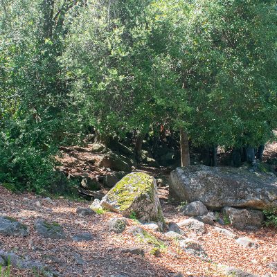 Agua-de-los-Bellotos-01