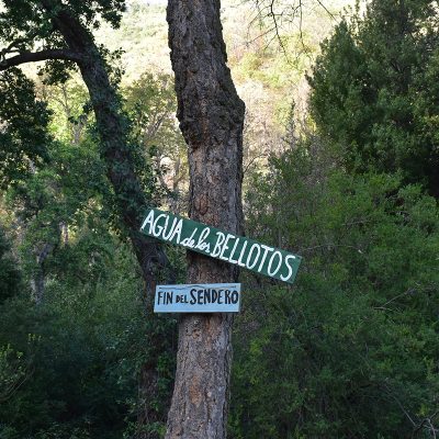 Agua_Delos_bellotos_8
