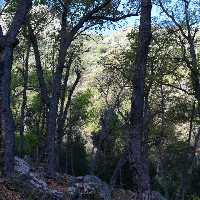 Agua_delos_Bellotos6