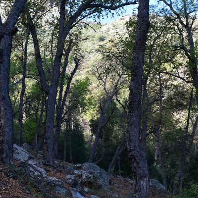 Agua_delos_bellotos8