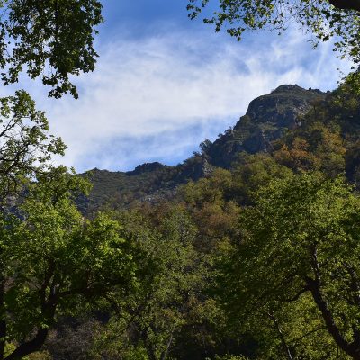 CRUCE_DE_COCALAN_1jpg