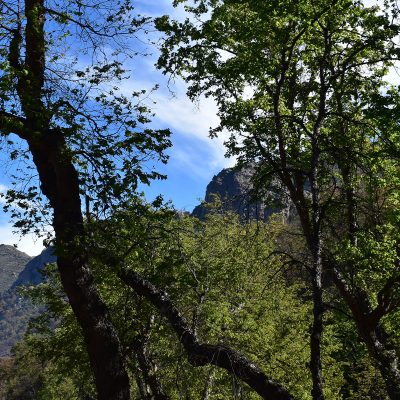 CRUCE_DE_COCALAN_4