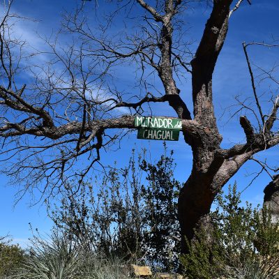 Mirador_del_Chagual_1