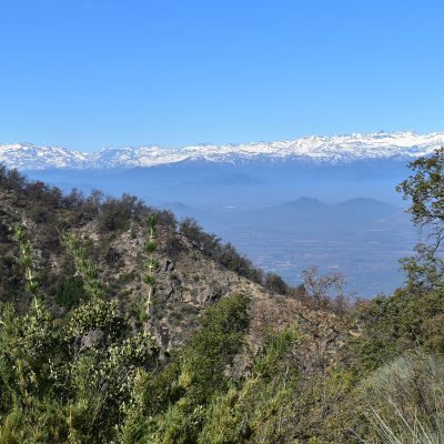 Mirador_del_Chagual_4