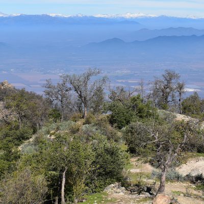 Mirador_del_Chagual_6