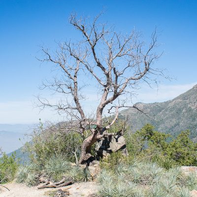 Mirador_del_Chagual_8